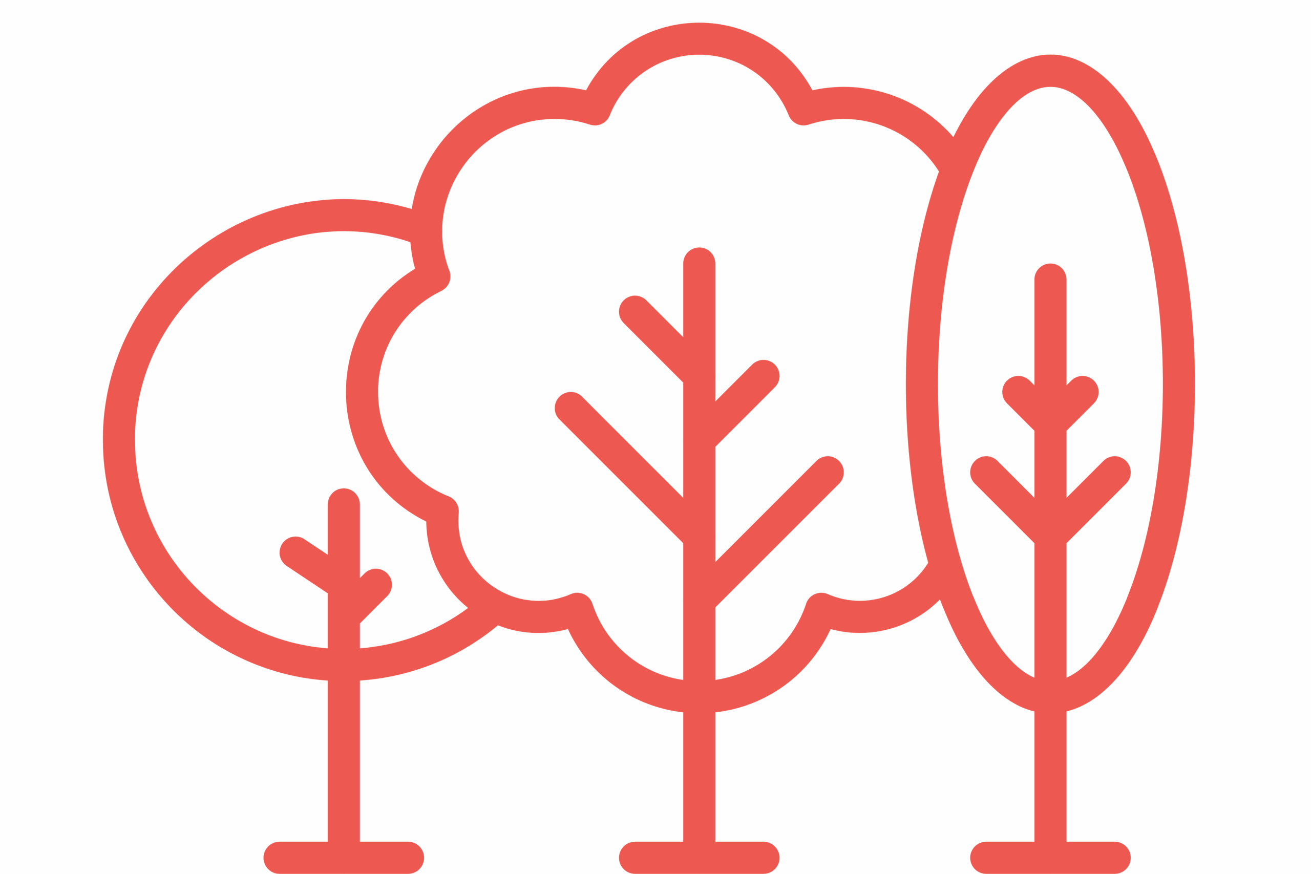 arbres corail